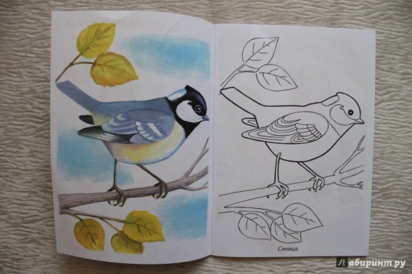 Виталий Бианки Синичкин календарь