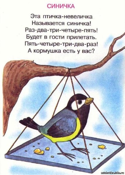 Зимующие птицы синичка для детей