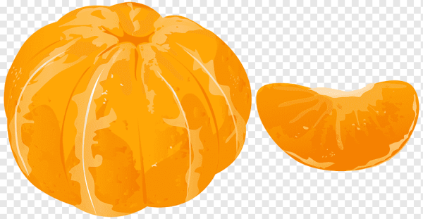 Долька мандарина вектор