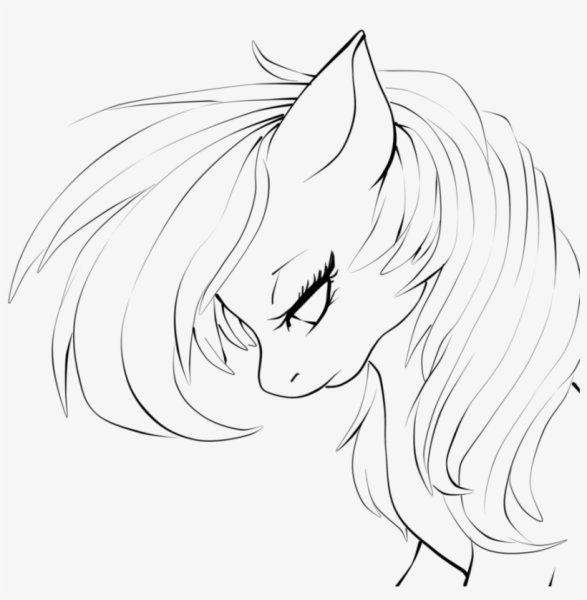 Наброски пони