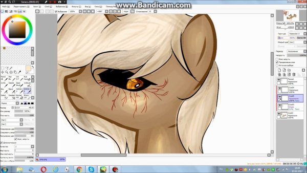 Пони обработки в САИ