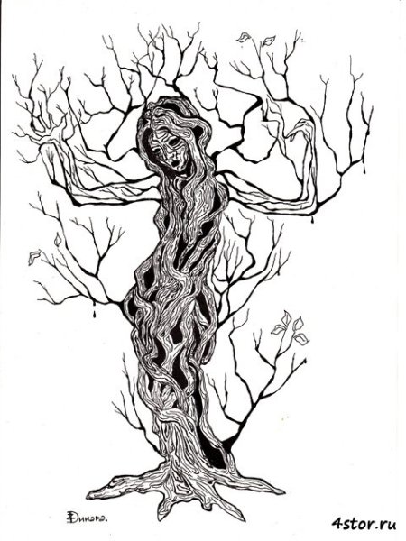 Девушка дерево карандашом