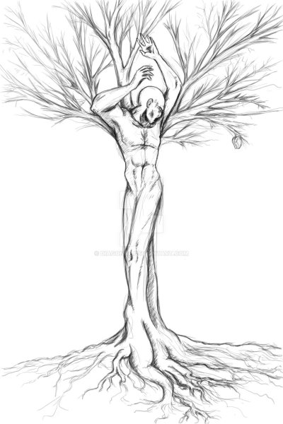 Энты Властелин колец