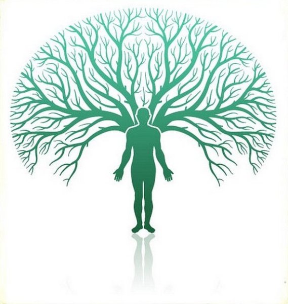 Дриады Лоран Огюст