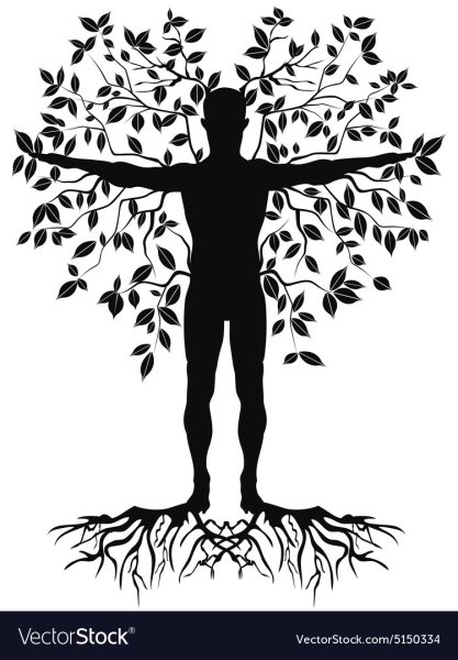 Девушка дерево рисунок карандашом