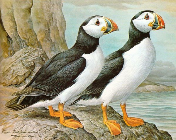 Тупик картина