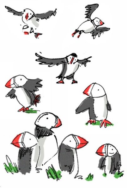 Нарисовать птицу тупик