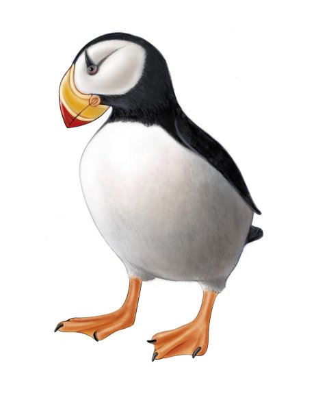 Тупик на белом фоне