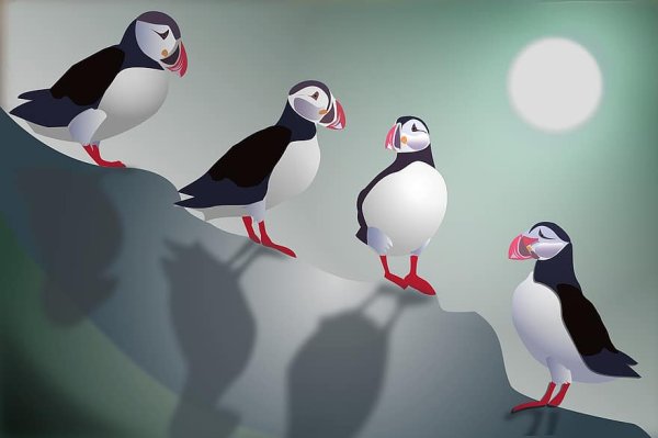 Впереди тупик, иллюстрация