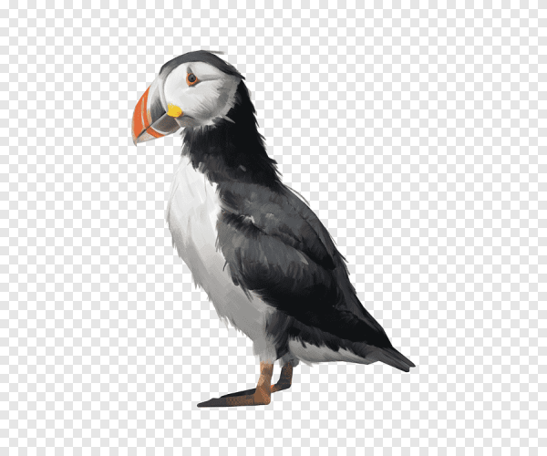 Тупик на белом фоне