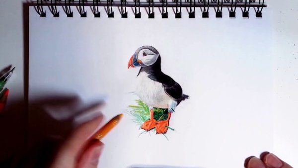 Тупик карандашом