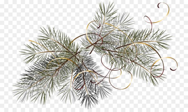 Серебряные еловые ветки