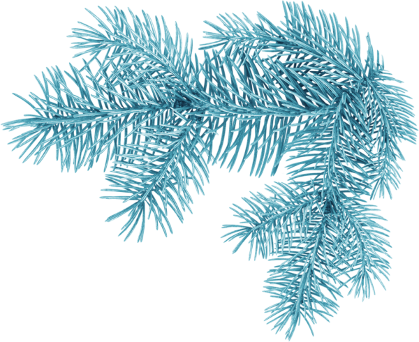 Елочная ветка