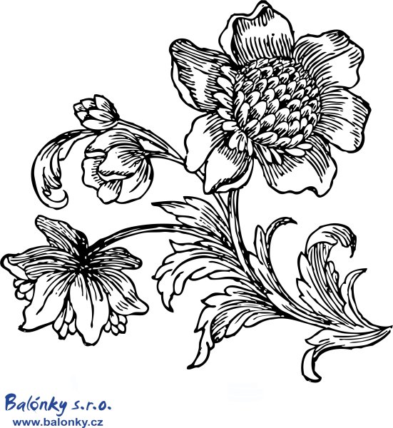 Орнамент цветов