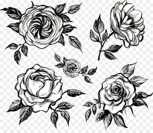 Графический орнамент розы