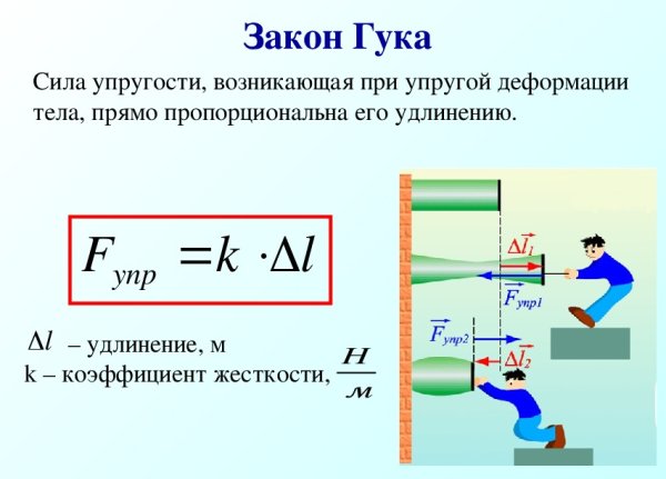 Сила упругости формула физика 10 класс