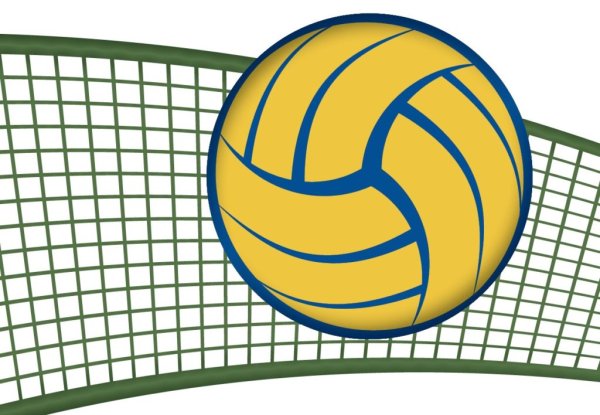 Волейбол сетка мяч
