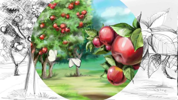 Яблоневый сад рисунок