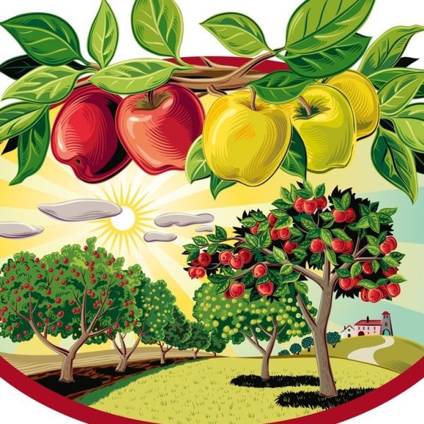 Яблоневый сад вектор