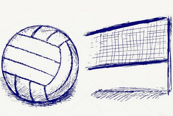 Сетка волейбольный мяч скетч