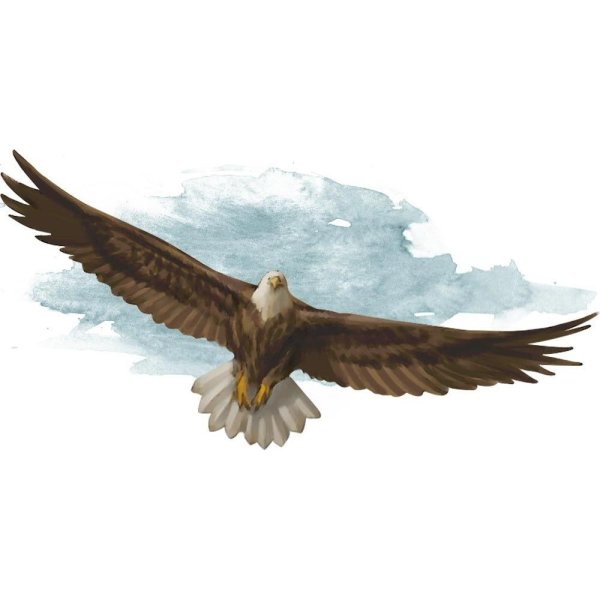 Гигантский Орел ДНД