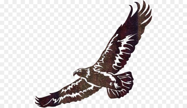 Силуэт орла в полете