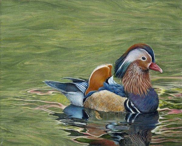 Рисунок утки мандаринки