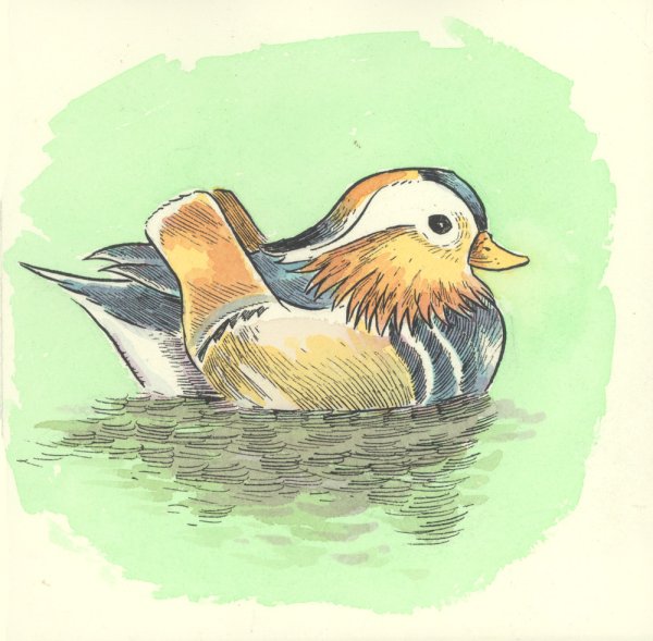 Рисунки цветными карандашами