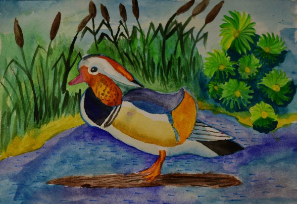 Нарисовать утку мандаринку