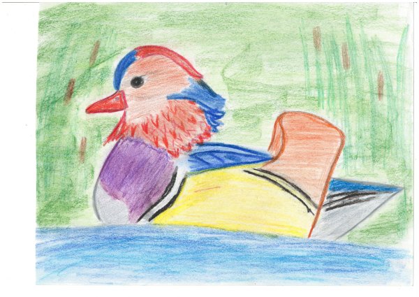 Майолика утка Мандаринка