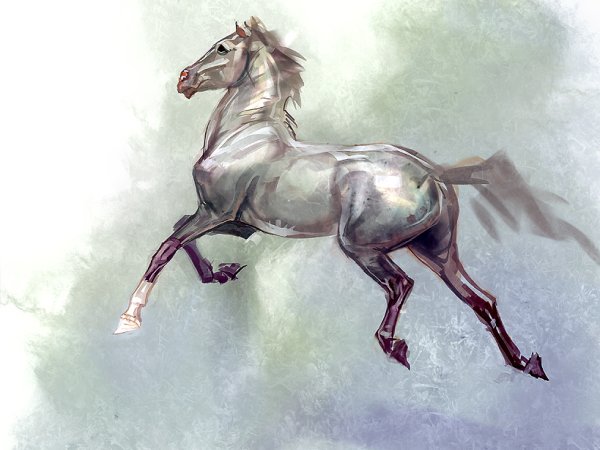 Лошадь летит