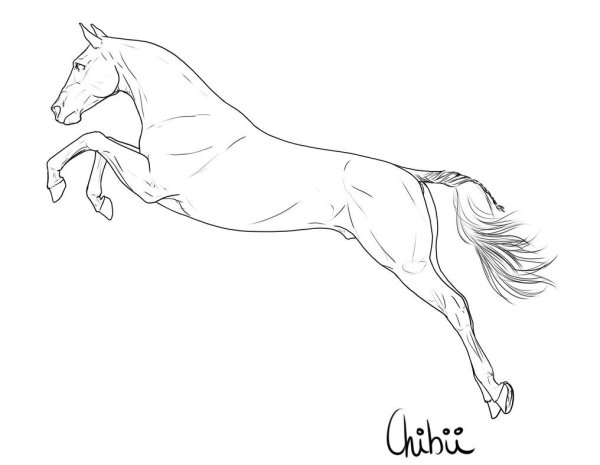 Лошадь карандашом