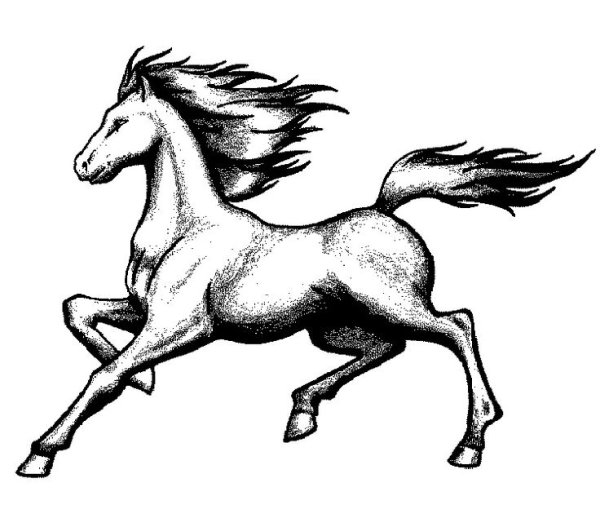 Набросок бегущей лошади