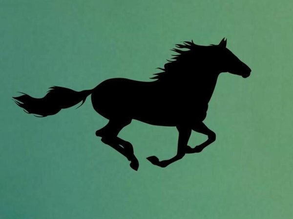 Силуэт скачущего коня