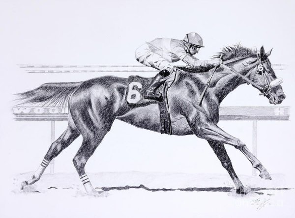 Наброски лошадей скачки