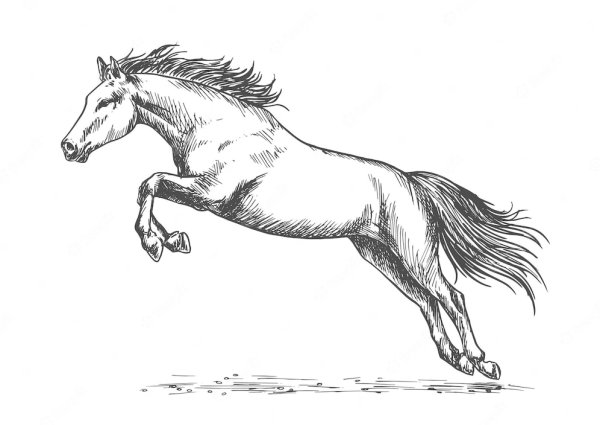 Нарисовать лошадь в прыжке