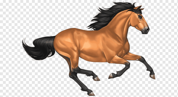 Лошадь бежит на белом фоне