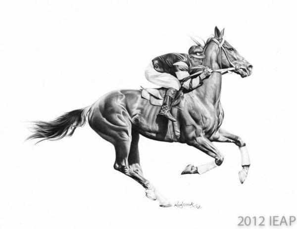 Набросок скачущей лошади