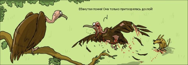 Шутка про стервятников
