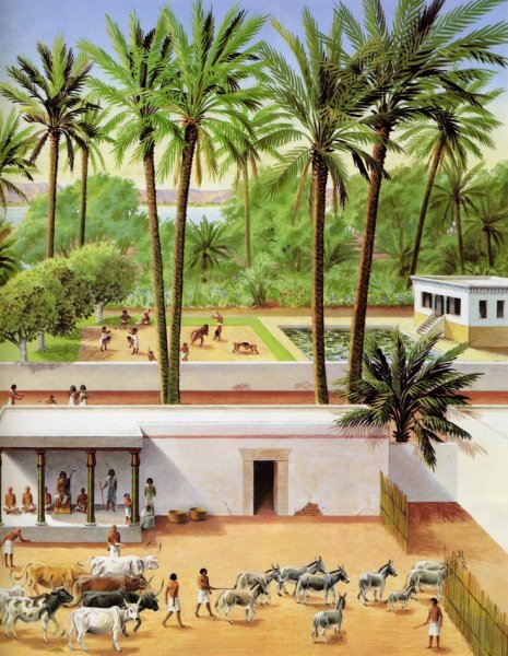 Жизнь египетского вельможи 5 класс в усадьбе вельможи