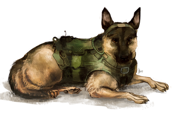 Немецкая овчарка Райли