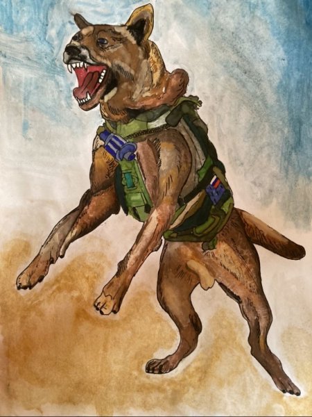Военная собака рисунок