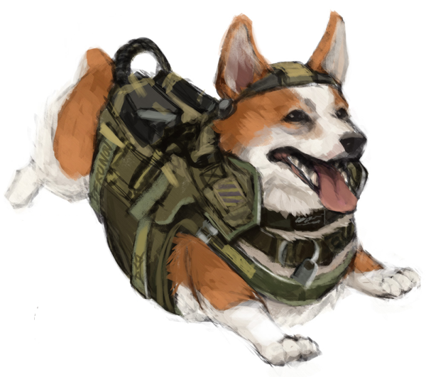 Тактический корги