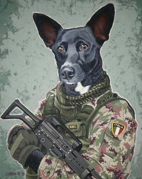 Пес в военной форме