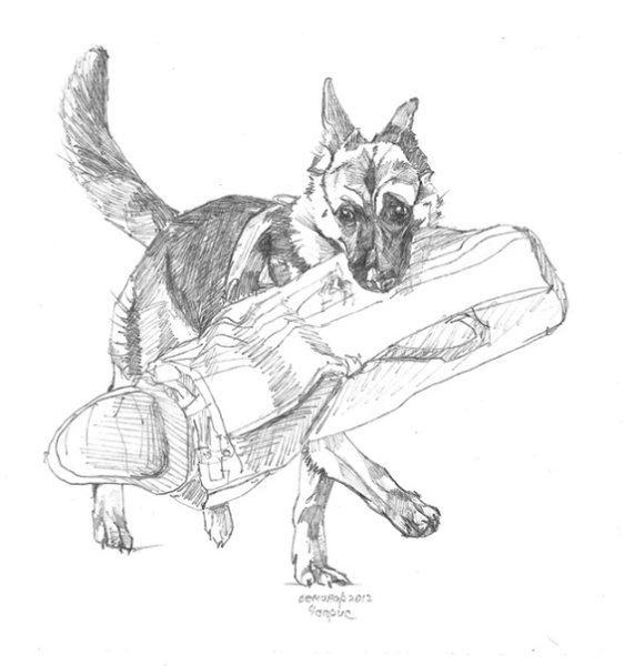 Набросок злой овчарки