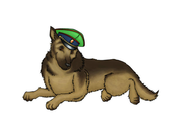 Пограничная собака для детей