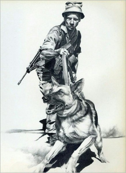 Военная собака иллюстрация