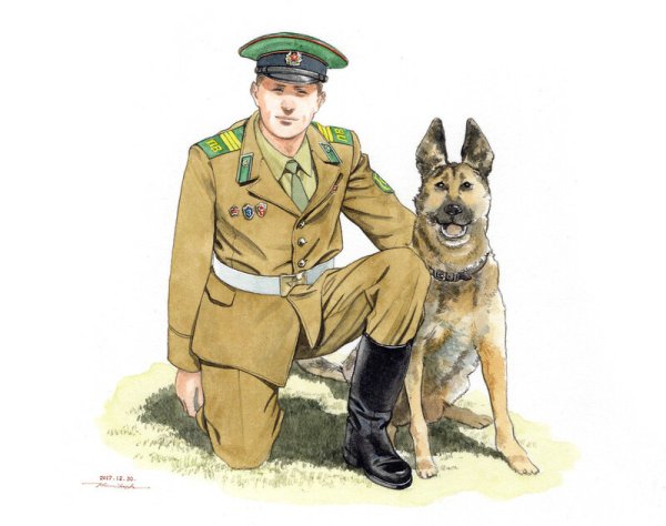 Пограничная собака