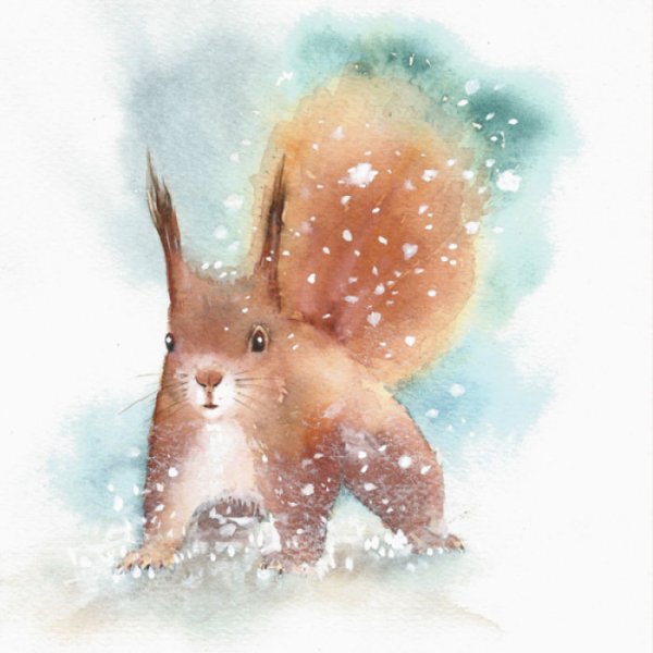 Марина Федотова художник иллюстратор