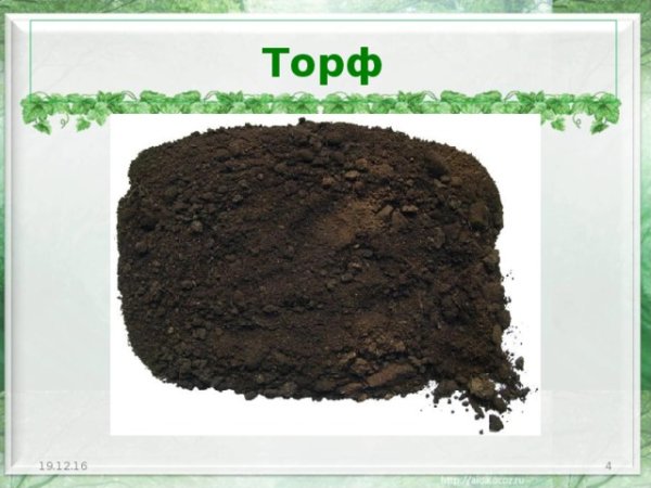 Полезные ископаемые торф